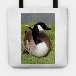 Canada Goose Canadian Geese Wild Bird Tote