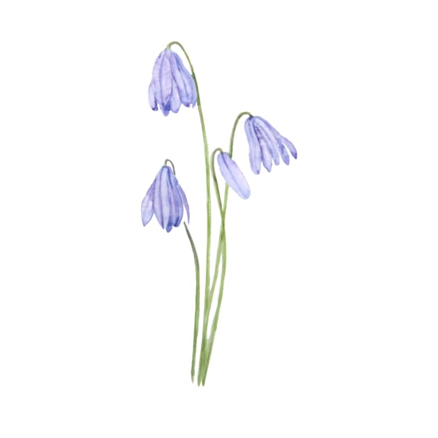 purple scilla siberica watercolor flowers by colorandcolor