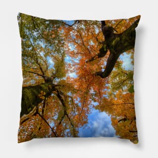 SCENERY 77 - Autumn Tree Woody Forest Leaves Pillow