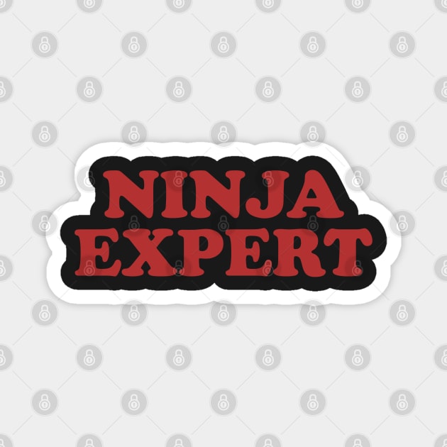 Ninja Expert Magnet by blackjackdavey