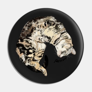 Purring Cat Pin