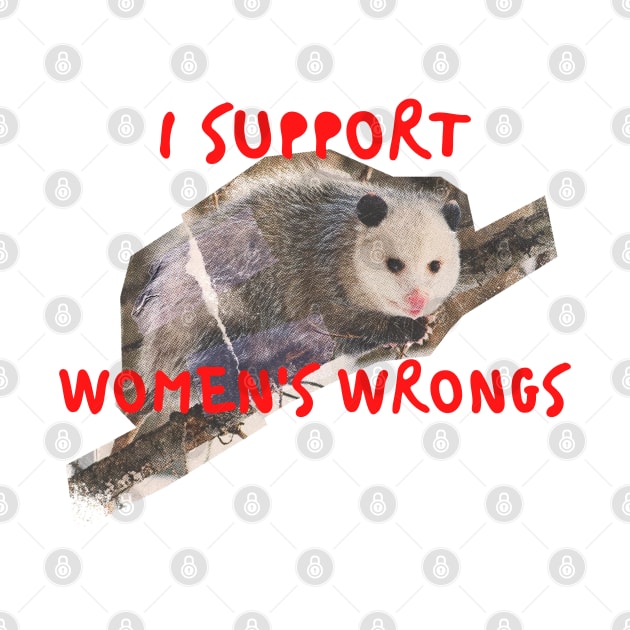 I support womens wrongs by little-axii