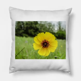 32218 yellow buttercup Pillow