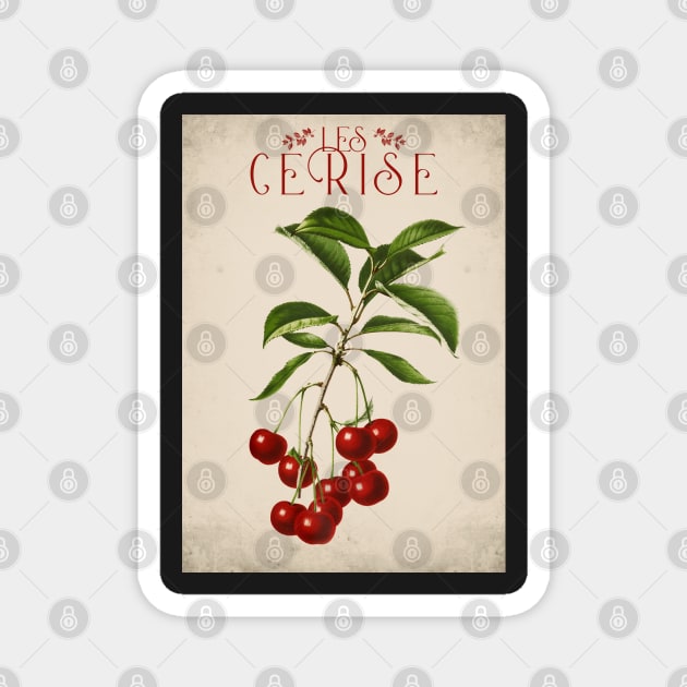 Old fruit poster - Cherries - Vintage - retro Magnet by Labonneepoque