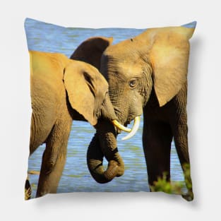 African Wildlife Photography Elephant love Pillow