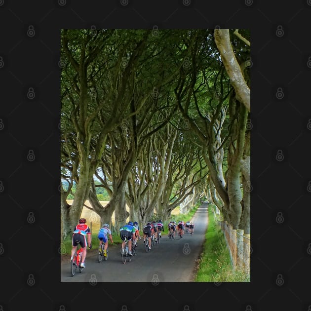 Cycling the Dark Hedges by Ludwig Wagner