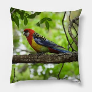 Eastern Rosella sitting in a tree Pillow