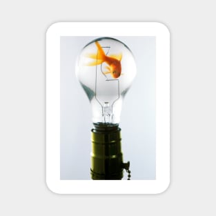 Goldfish in light bulb Magnet