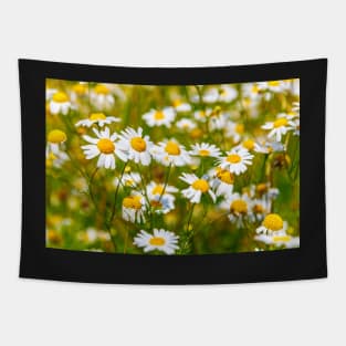 Copy of Camomile in the meadow Tapestry