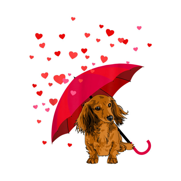 Disover Long Hair Dachshund In Raining Heart Valentine - Dachshund Valentine - T-Shirt