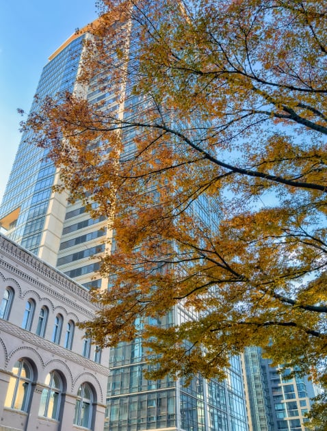 Fall in City Kids T-Shirt by jvnimages