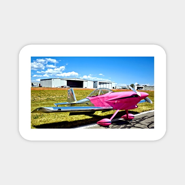 Pink Panther Aircraft Magnet by Scubagirlamy