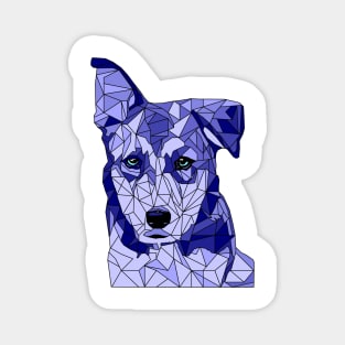 Rufus in Blue Magnet