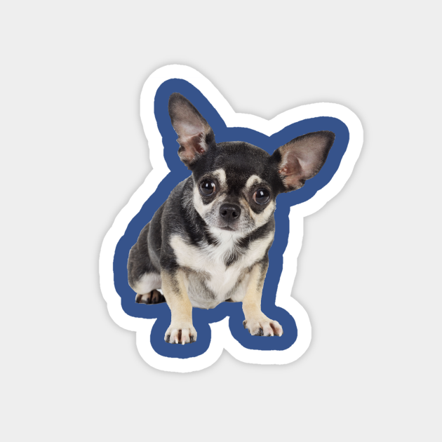 Cute Goofy Chihuahua Dog With Big Ears - Funny Chihuahua - Magnet ...