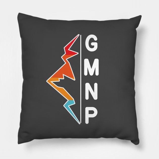 Guadalupe Mountains National Park Pillow by roamfree