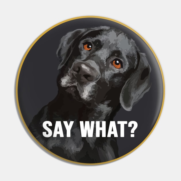 Black Labrador, say what? Pin by Brash Ideas