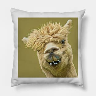 I Am Finally Getting Braces - Funny Animal Cartoons Pillow