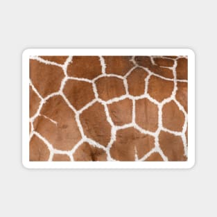 Giraffe / Swiss Artwork Photography Magnet