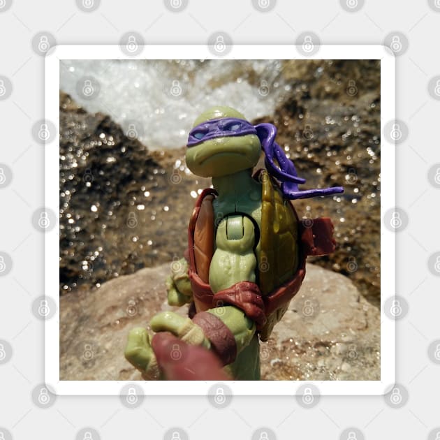 n3rdp8rn 18 -  toy photography – turtles – don – selfie Magnet by LiveForever