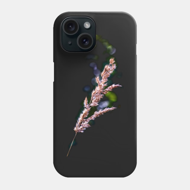 Summer grass Phone Case by Hujer