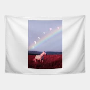 Rainbow Horse Tapestry