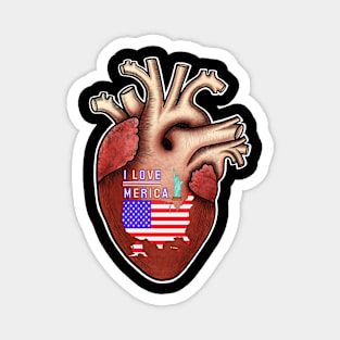 I love Merica,human heart anatomy,I love my country Magnet