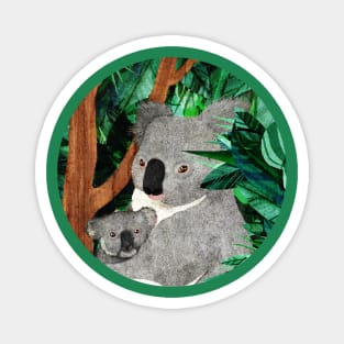 Koala Magnet