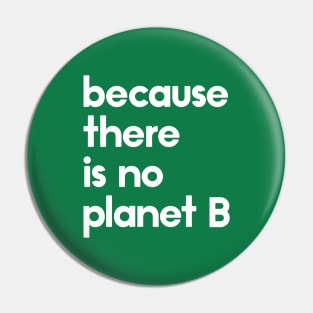 Because there is no planet B Pin