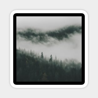 Misty Mountain Forest Magnet