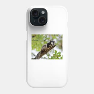 Fox Squirrel Phone Case