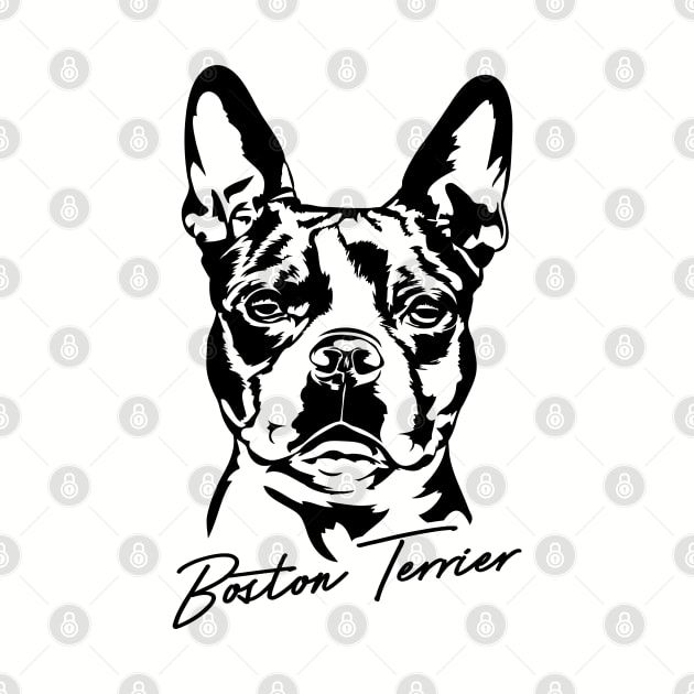 Boston Terrier Portrait dog lover by wilsigns