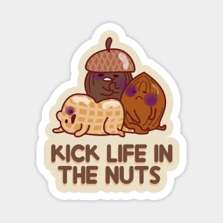 KICK LIFE IN THE NUTS Magnet