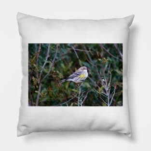 Yellow Rump Warbler Pillow