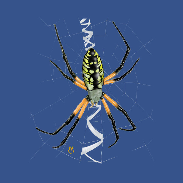Disover Black and Yellow Garden Spider - Spiders - T-Shirt