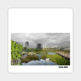 tajamar manglar ecopop landscape design intervention Magnet