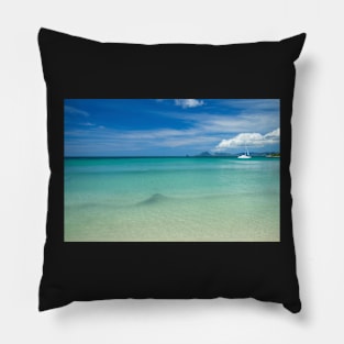 Tropical Paradise Landscape Pillow