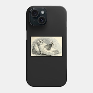 Sea Cucumbers at Play Phone Case