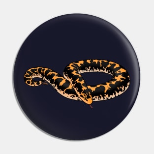 Normal Kenyan Sand Boa Pin