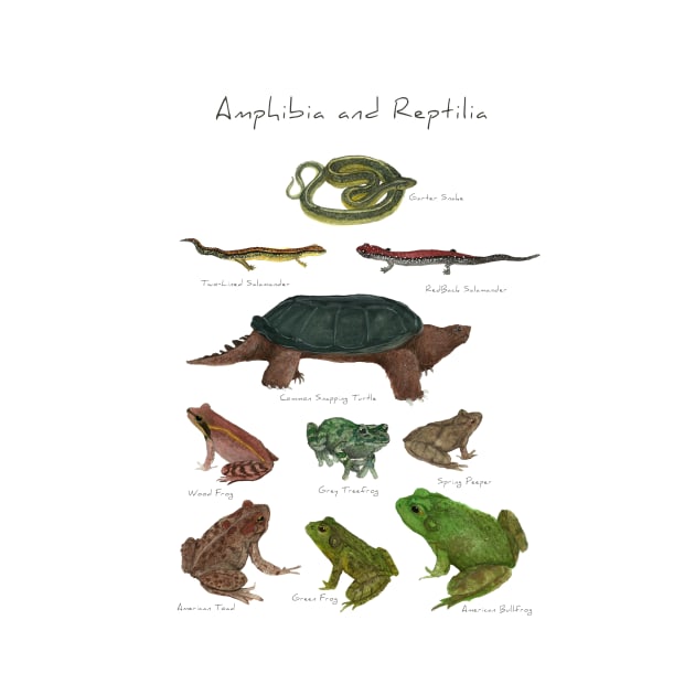 Amphibians and Reptiles by LadyElizabeth