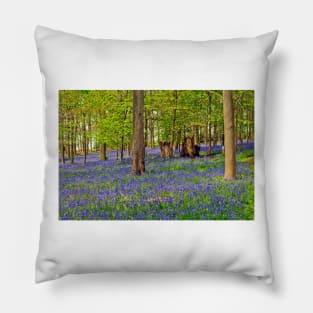 Bluebells Bluebell Woods Greys Court Oxfordshire UK Pillow