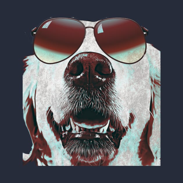 White dog wearing sunglasses by PersianFMts