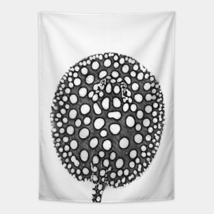 Freshwater Black Diamonds stingray Tapestry