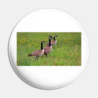 Geese In The Dandelions Pin