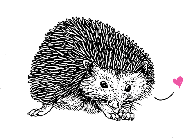 Hedgehog Kids T-Shirt by ThisMightHurt