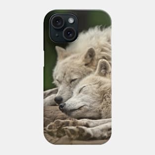 Arctic Wolves Phone Case