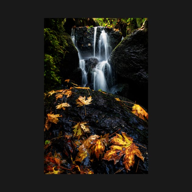 Autumn Waterfall by JeffreySchwartz