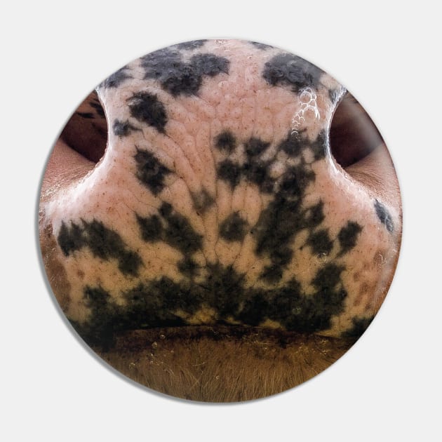 cow mouth face mask - cow lover gifts - cow face masks funny Pin by jack22