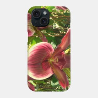 Serene Beauty: Red-Green Venus Slipper Orchids Print Phone Case