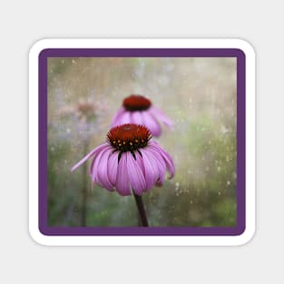 Coneflower Dream Magnet