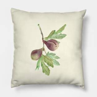 figs Pillow